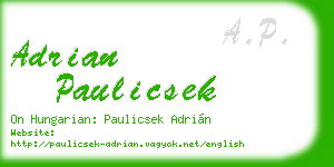 adrian paulicsek business card