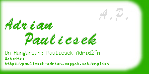 adrian paulicsek business card